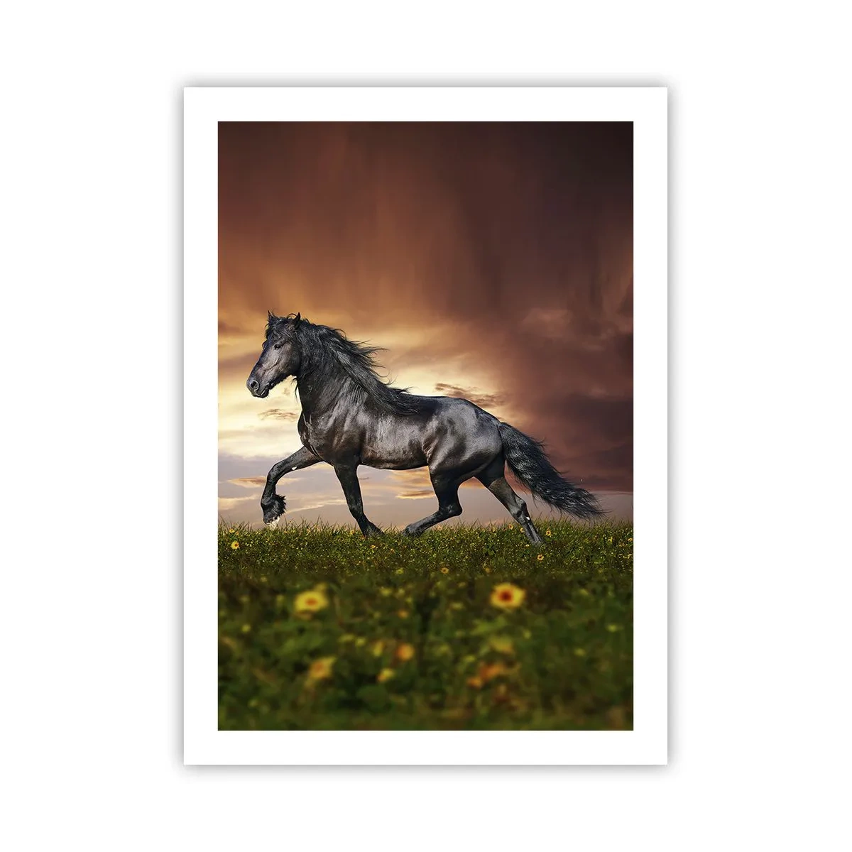 Poster - Prințul negru - 50x70 cm