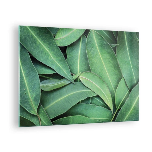 Tablou pe sticlă - Prim-plan cu frunze verzi aranjate în straturi - 70x50cm - Suculente și proaspete - Decorațiune modernă pentru perete pentru living și dormitor ARTTOR