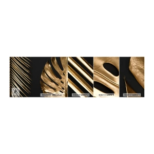 Mostră de Tapet Standard Eco - Diferite și la fel de scumpe - Frunza de palmier, Frunza de monstera, Abstracția - 100x30 cm