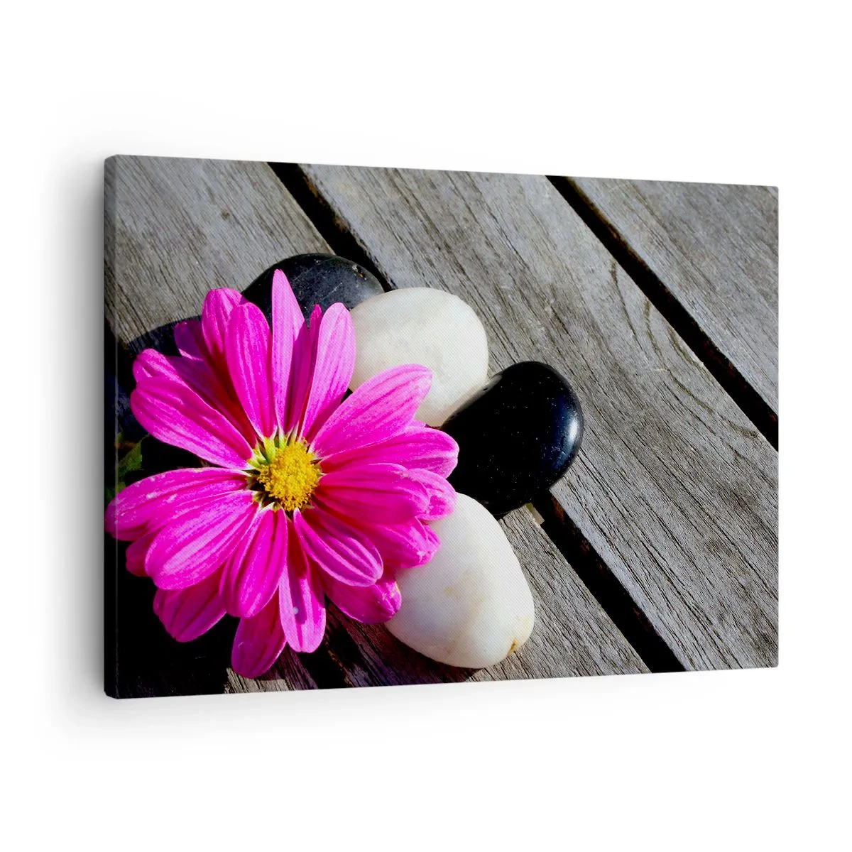 Tablou pe pânză Canvas - Floare roz pe un fundal de plăci de lemn cu pietre - 70x50cm - Odihnă pe dig - Decorațiune modernă pentru perete pentru living și dormitor ARTTOR