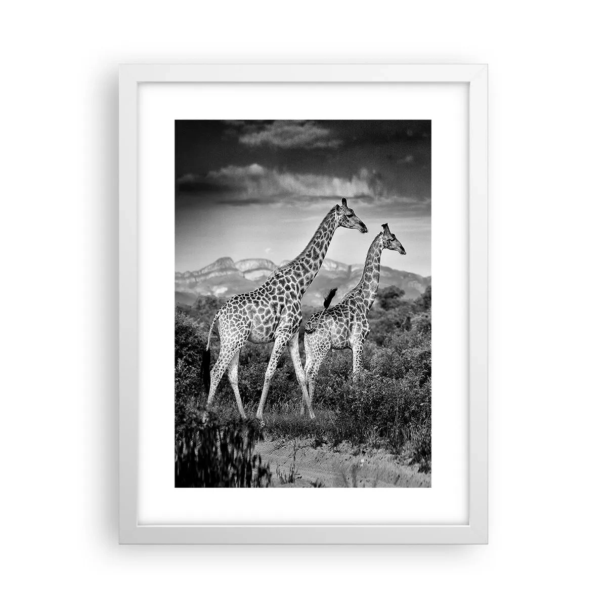 Poster în ramă albă - Clasele superioare din Africa - 30x40 cm
