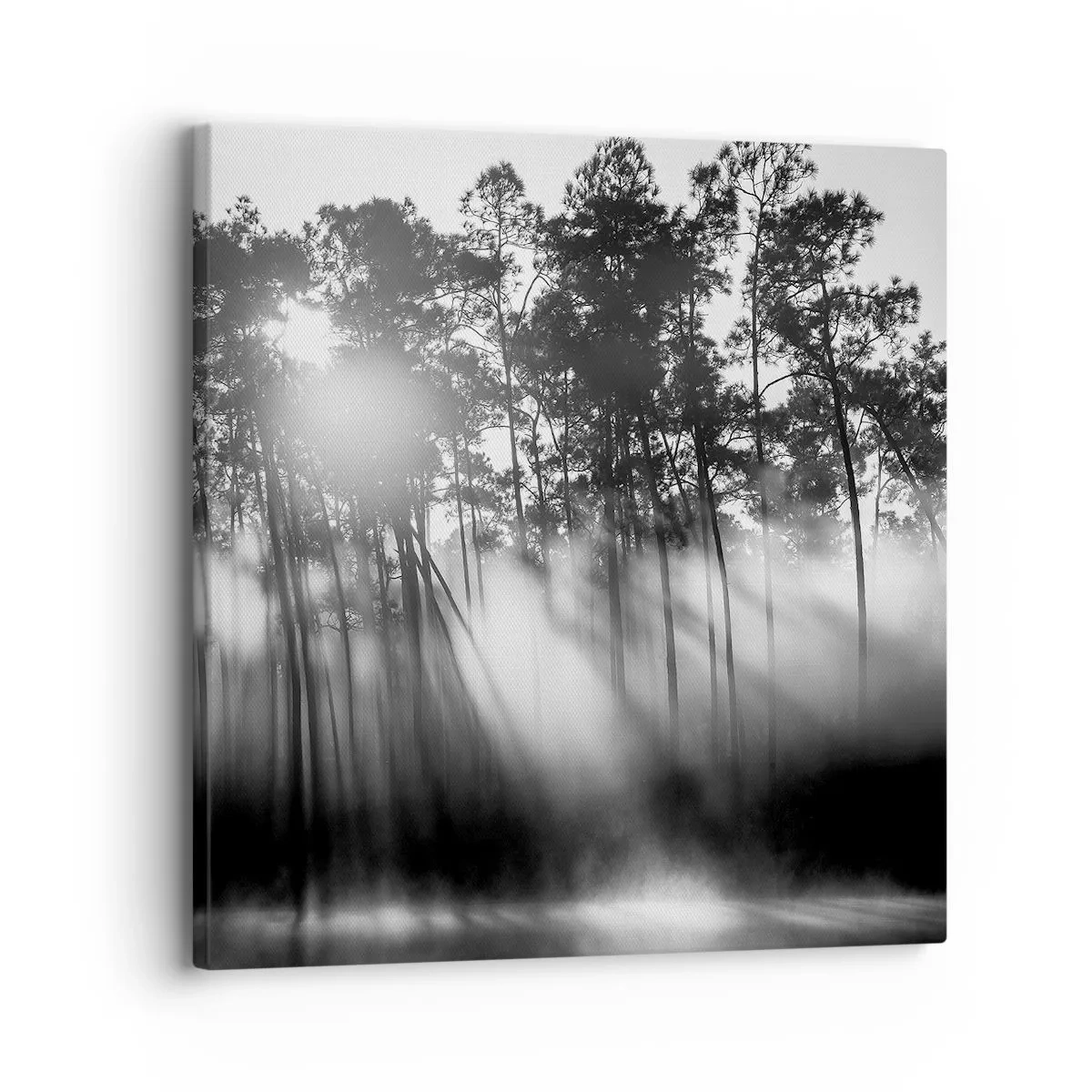 Tablou pe pânză - Soare de neoprit - 30x30 cm