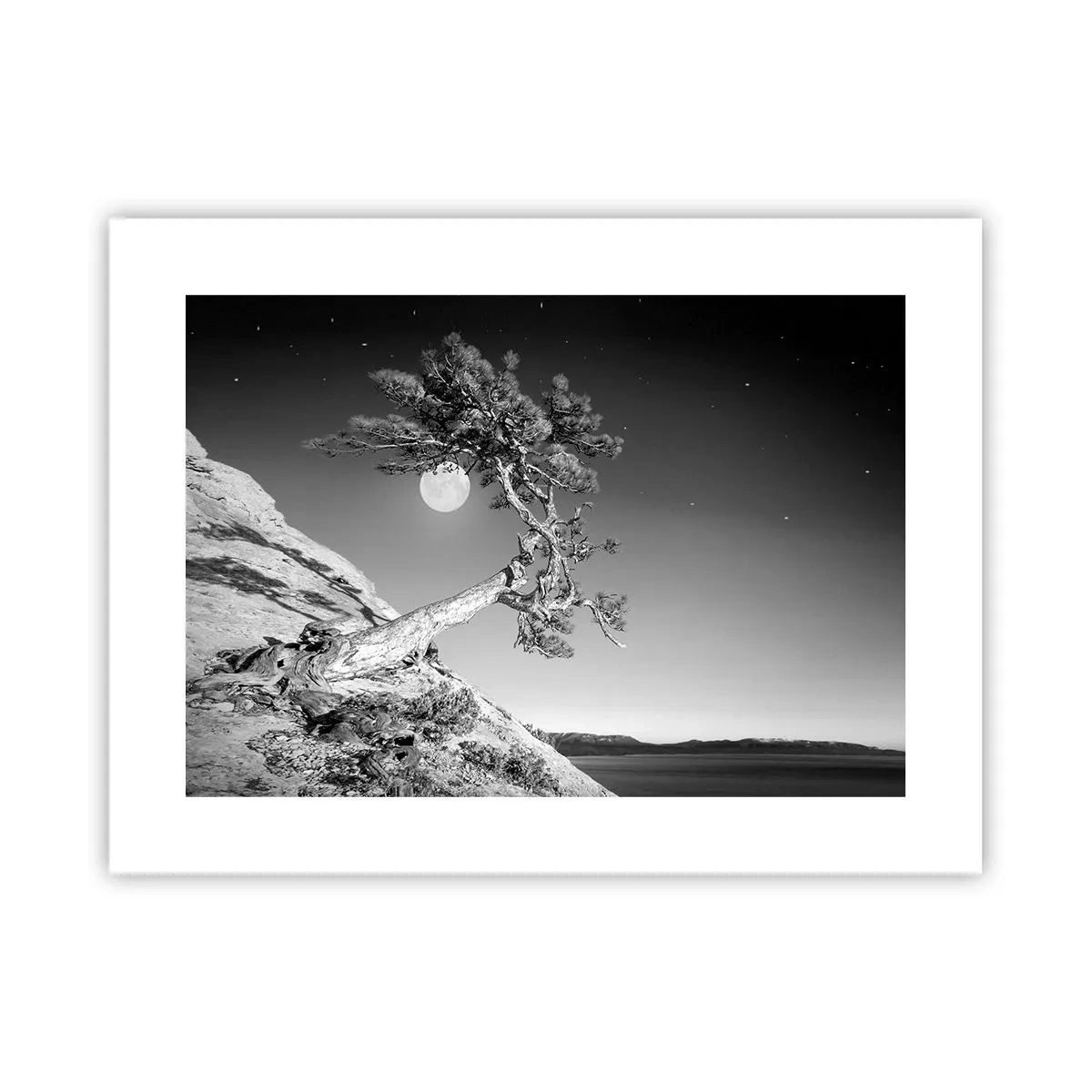 Poster - Războinicul victorios - 40x30 cm