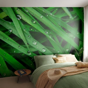 Tapet Premium Sand - Joacă de-a verdele - Natură, Iarbă verde, Grădină - 350x256 cm