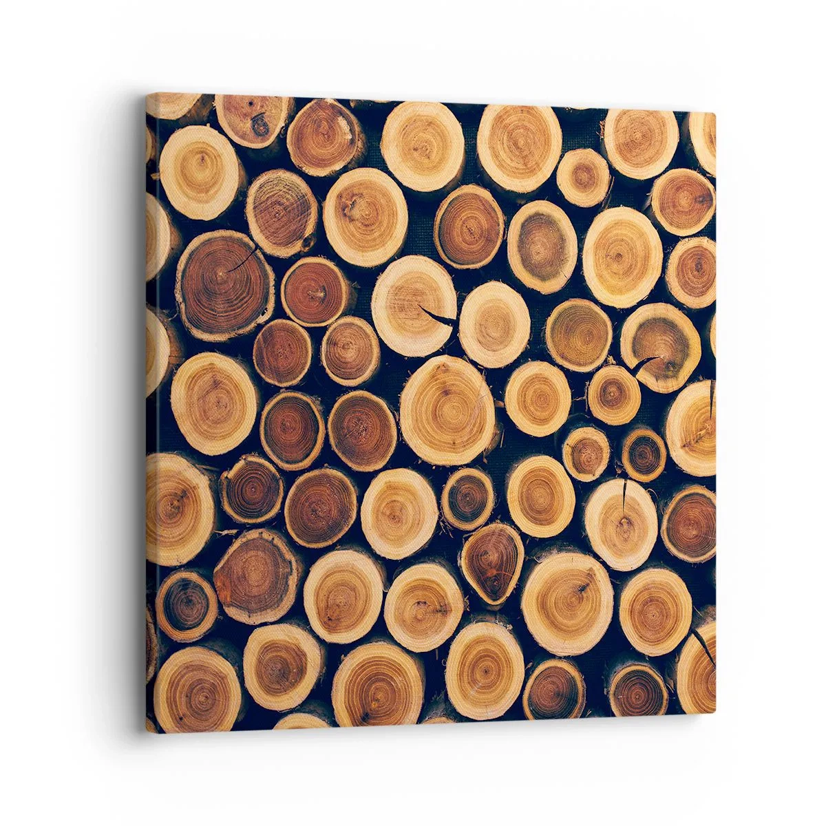 Tablou pe pânză - Cât de bătrân sunt? - 30x30 cm