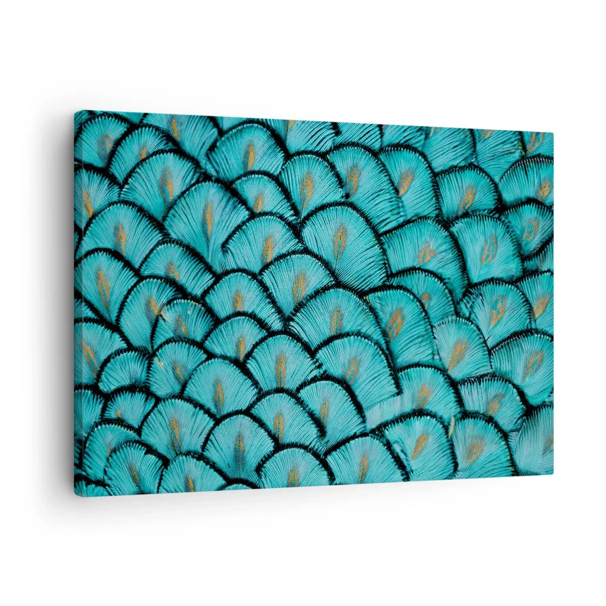 Tablou pe pânză - Marea gală a penelor - 70x50 cm