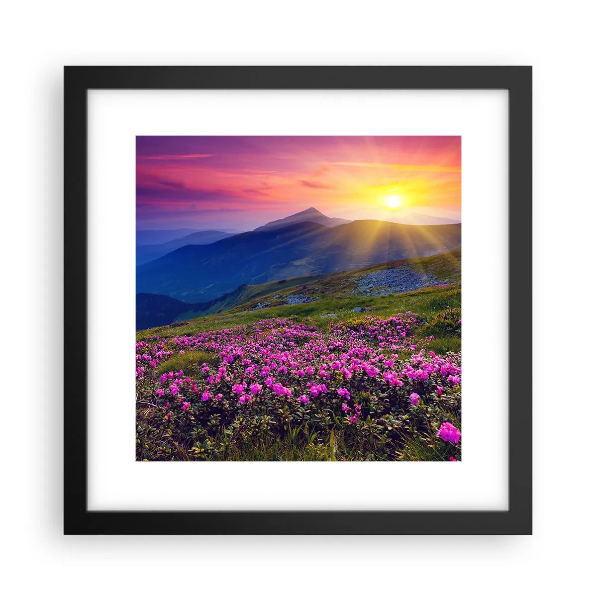 Poster în ramă neagră - ... Și peste tot în jur se simte un miros de jneapăn și parfum de ierburi... - 30x30 cm