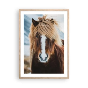 Poster în ramă de stejar deschis - Simțiți libertatea? - 50x70 cm
