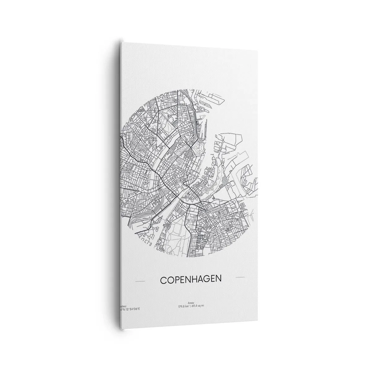 Tablou pe pânză - Anatomia Copenhagăi - 65x120 cm