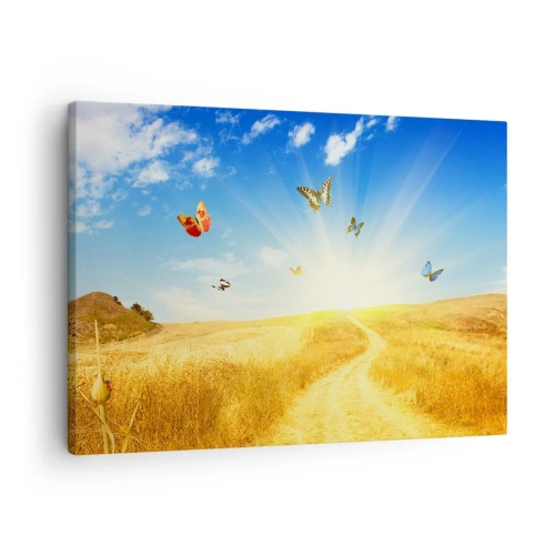 Tablou pe pânză Canvas - Un câmp auriu, o potecă și fluturi pe un cer albastru - 70x50cm - Și cum să nu iubești vara? - Decorațiune modernă pentru perete pentru living și dormitor ARTTOR