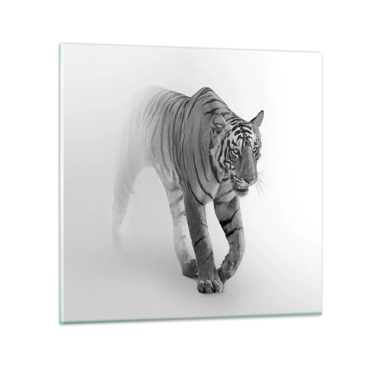 Tablou pe sticlă - De veghe în ceață - 60x60 cm