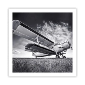 Poster - Rătăcitorul înaripat - 60x60 cm