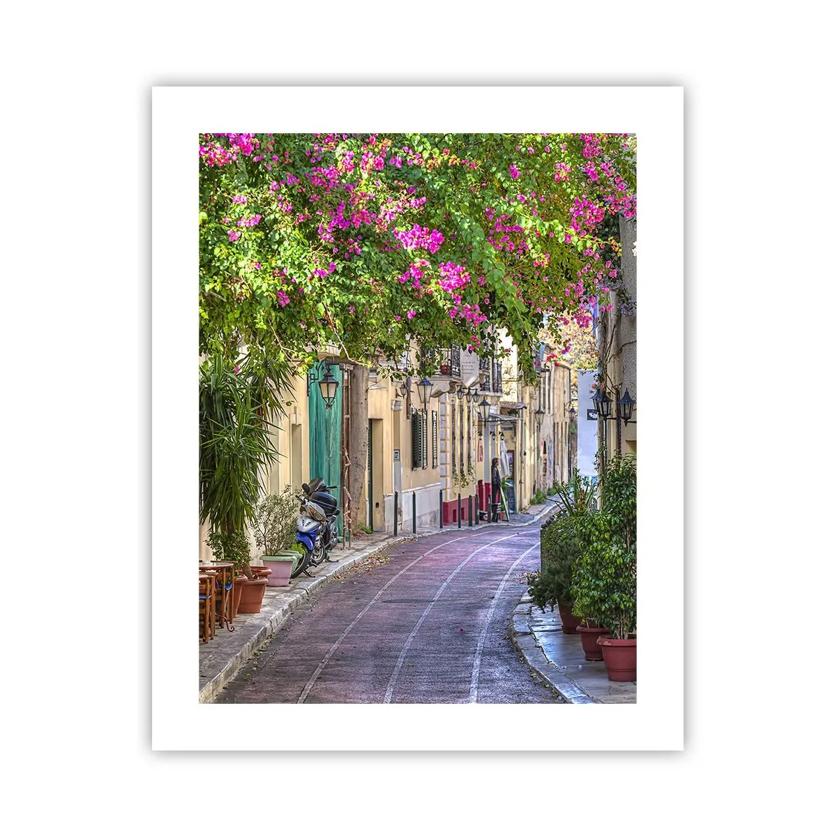 Poster - Alee înfloritoare - 40x50 cm