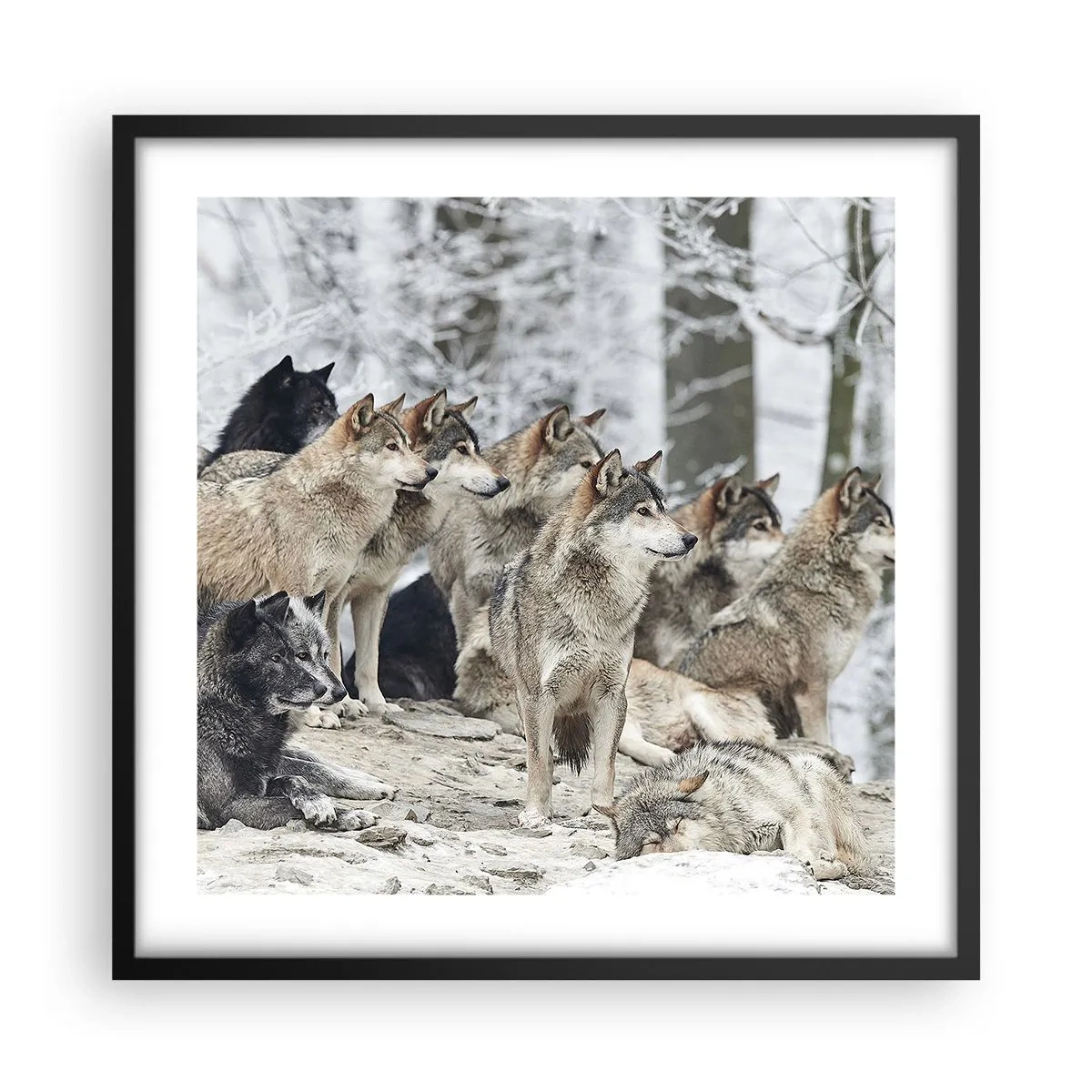 Poster în ramă neagră - Familie și prieteni - 50x50 cm