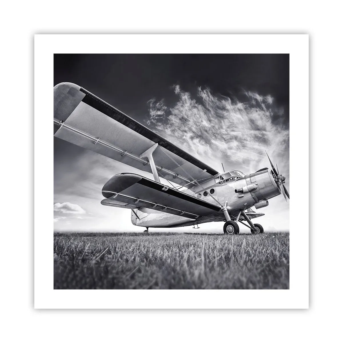 Poster - Rătăcitorul înaripat - 50x50 cm