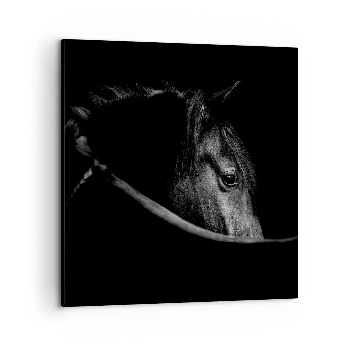 Tablou pe pânză - Prințul negru - 50x50 cm