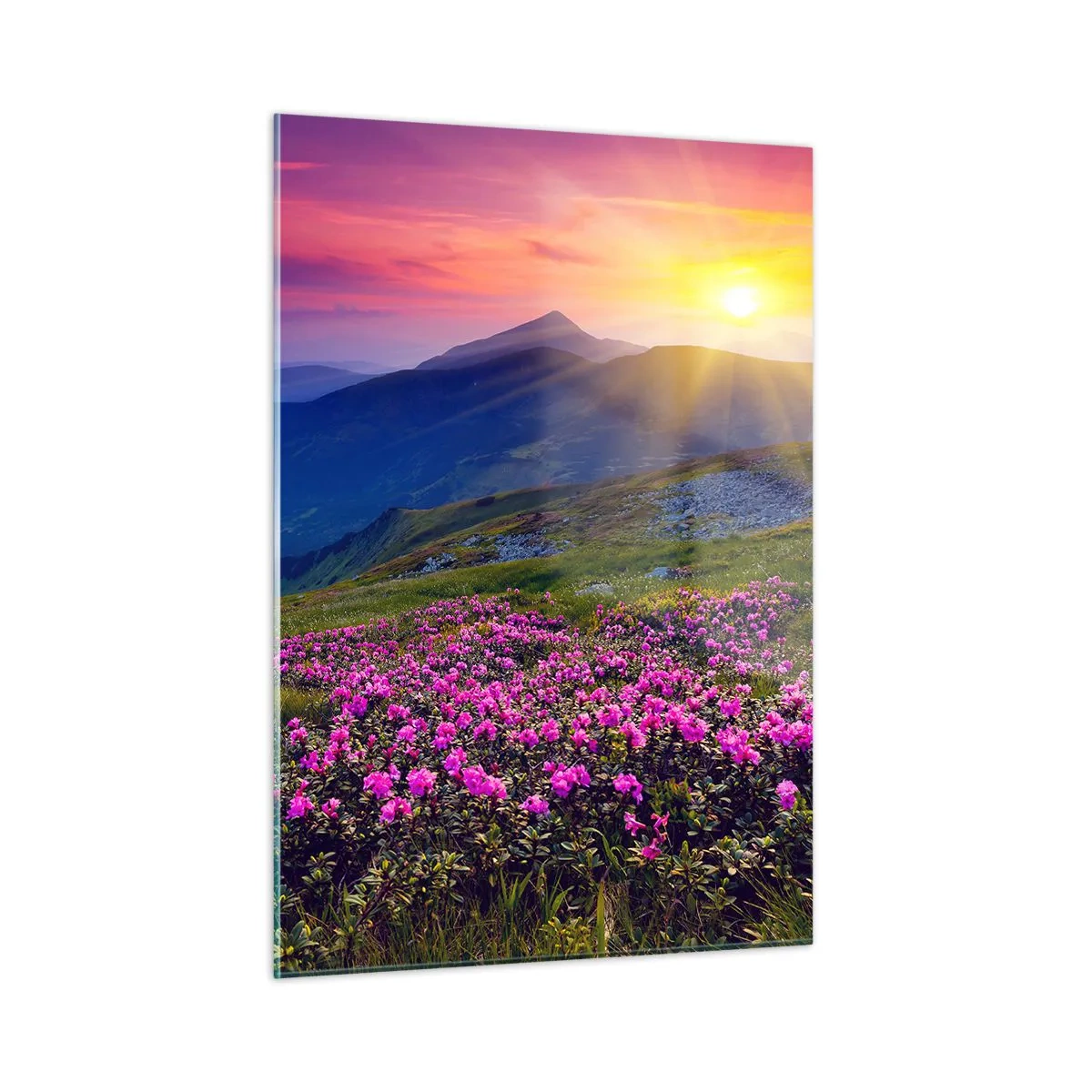Tablou pe sticlă - ... Și peste tot în jur se simte un miros de jneapăn și parfum de ierburi... - 50x70 cm
