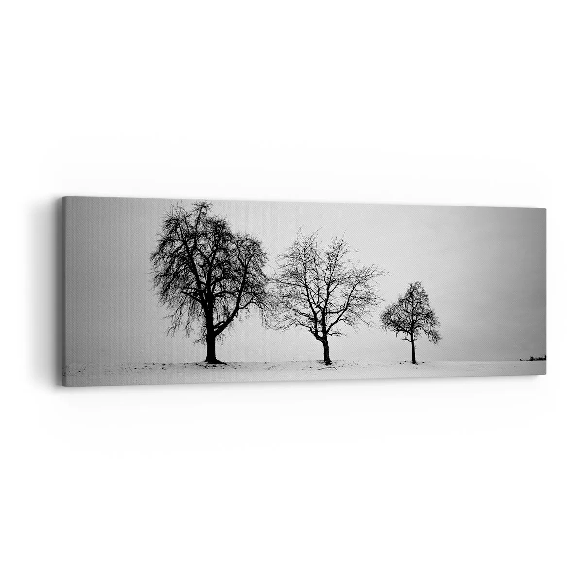 Tablou pe pânză - La ce visează? - 90x30 cm