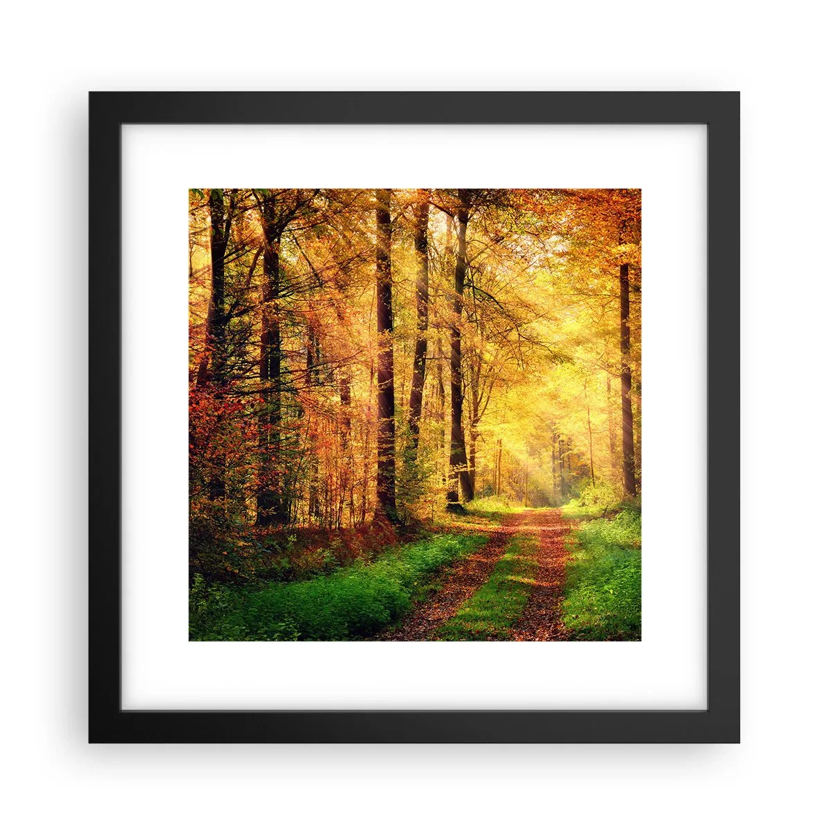 Poster în ramă neagră - Tăcere de aur de pădure - 30x30 cm