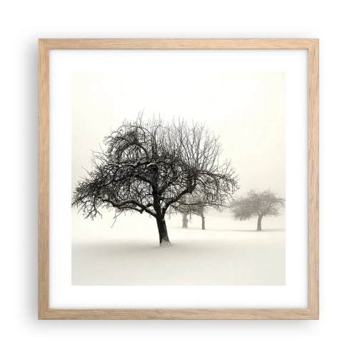 Poster în ramă de stejar deschis - Hibernare - 40x40 cm