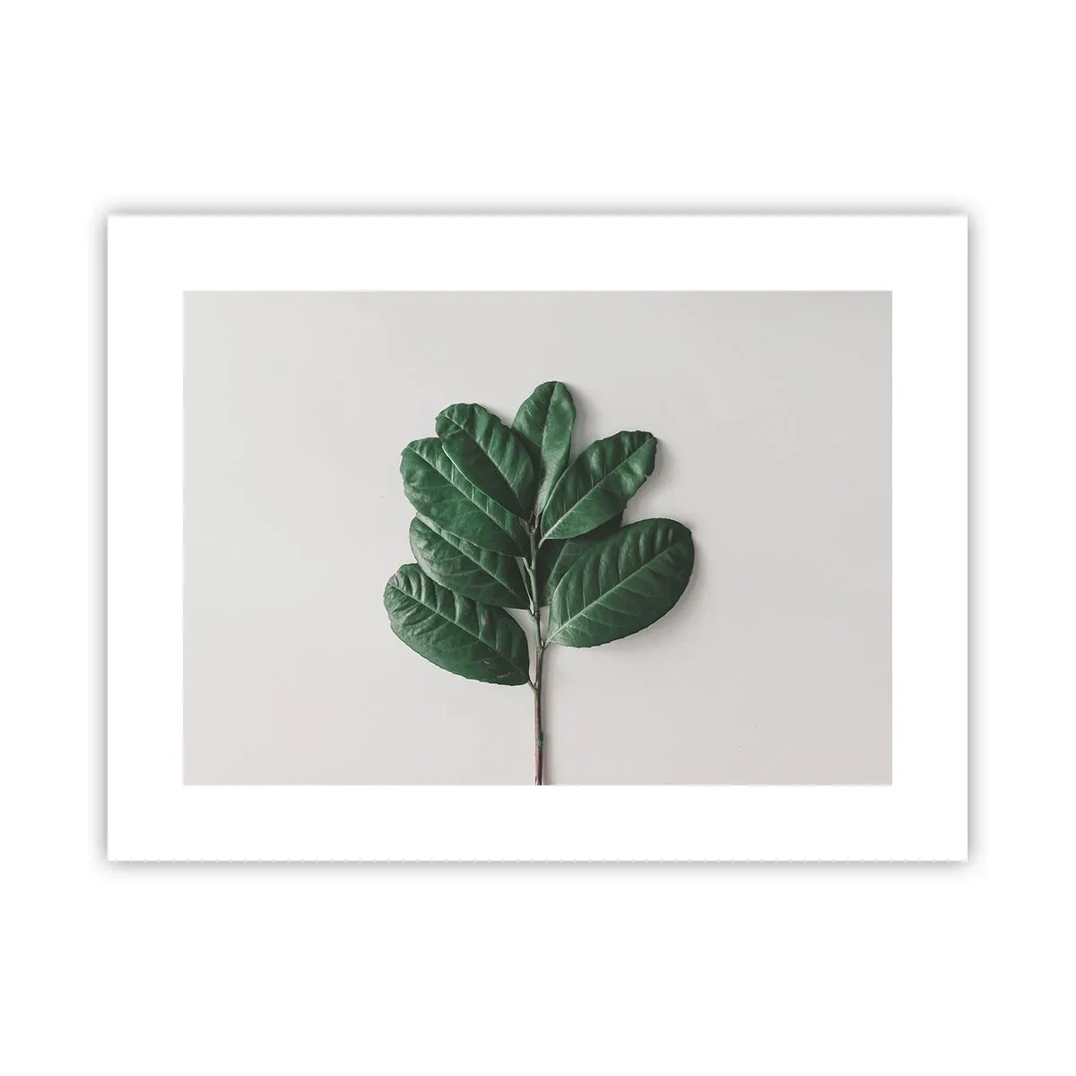 Poster - Desenul naturii însăși - 40x30 cm