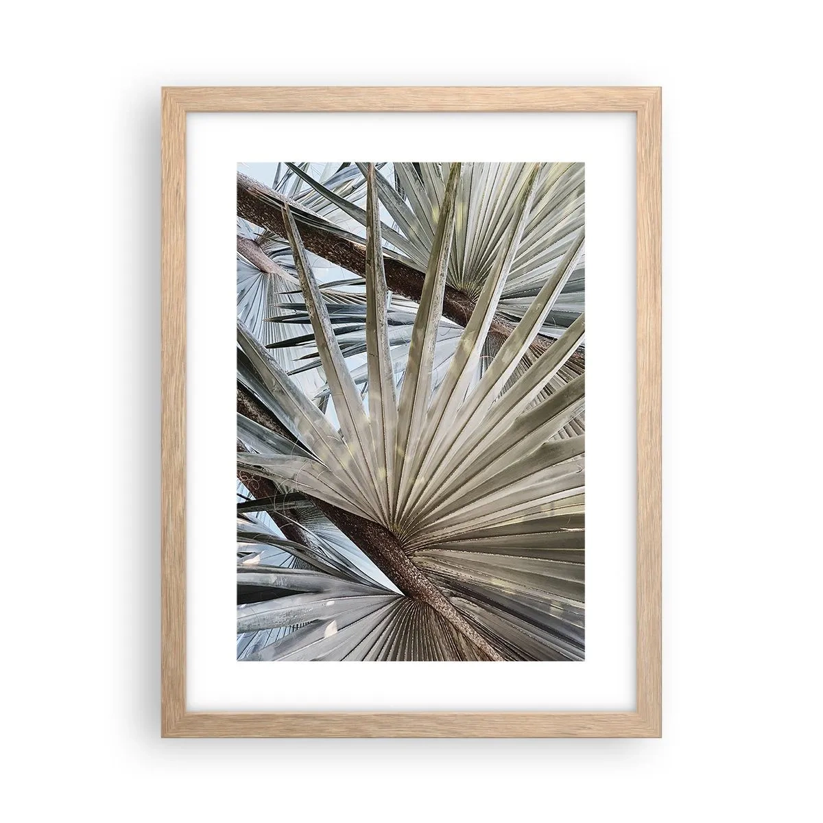 Poster în ramă de stejar deschis - Evantaie din tropice - 30x40 cm