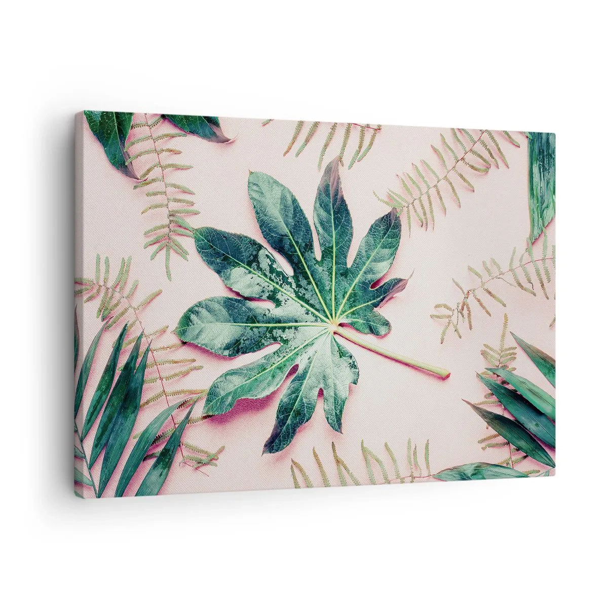 Tablou pe pânză Canvas - Frunze tropicale pe un fundal pastel deschis - 70x50cm - Studiu de verdeață pe un fundal roz - Decorațiune modernă pentru perete pentru living și dormitor ARTTOR