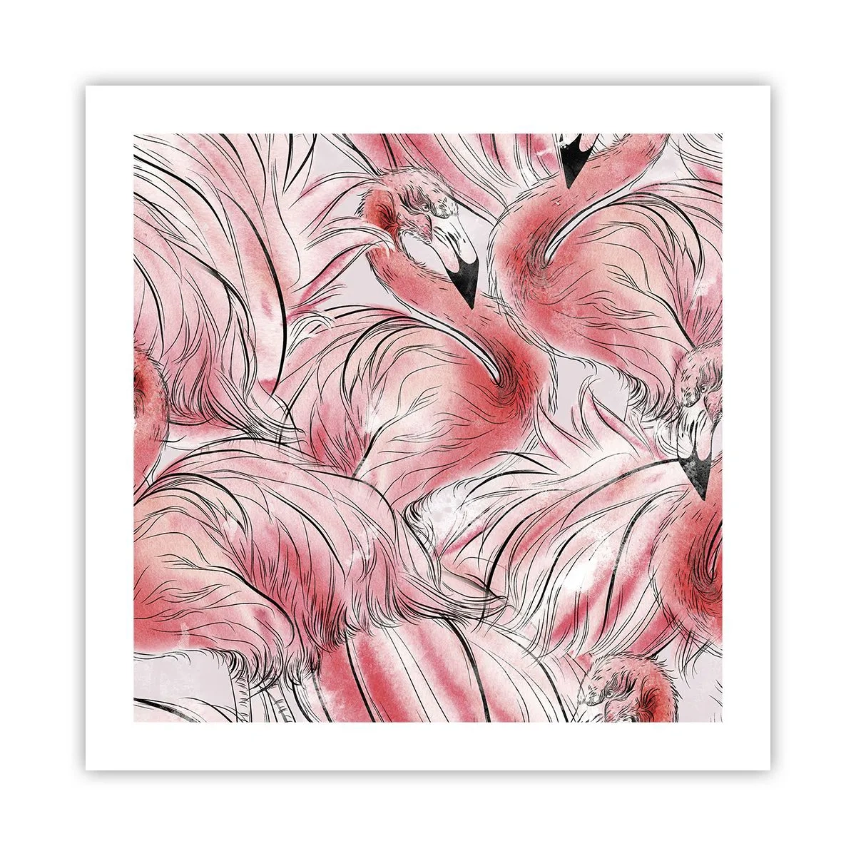 Poster - Corpul de balet al păsărilor - 50x50 cm