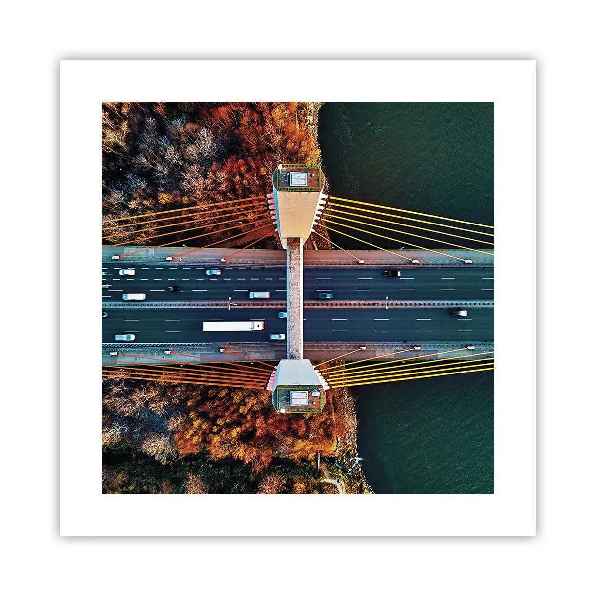 Poster - Din pădure spre apă - 40x40 cm