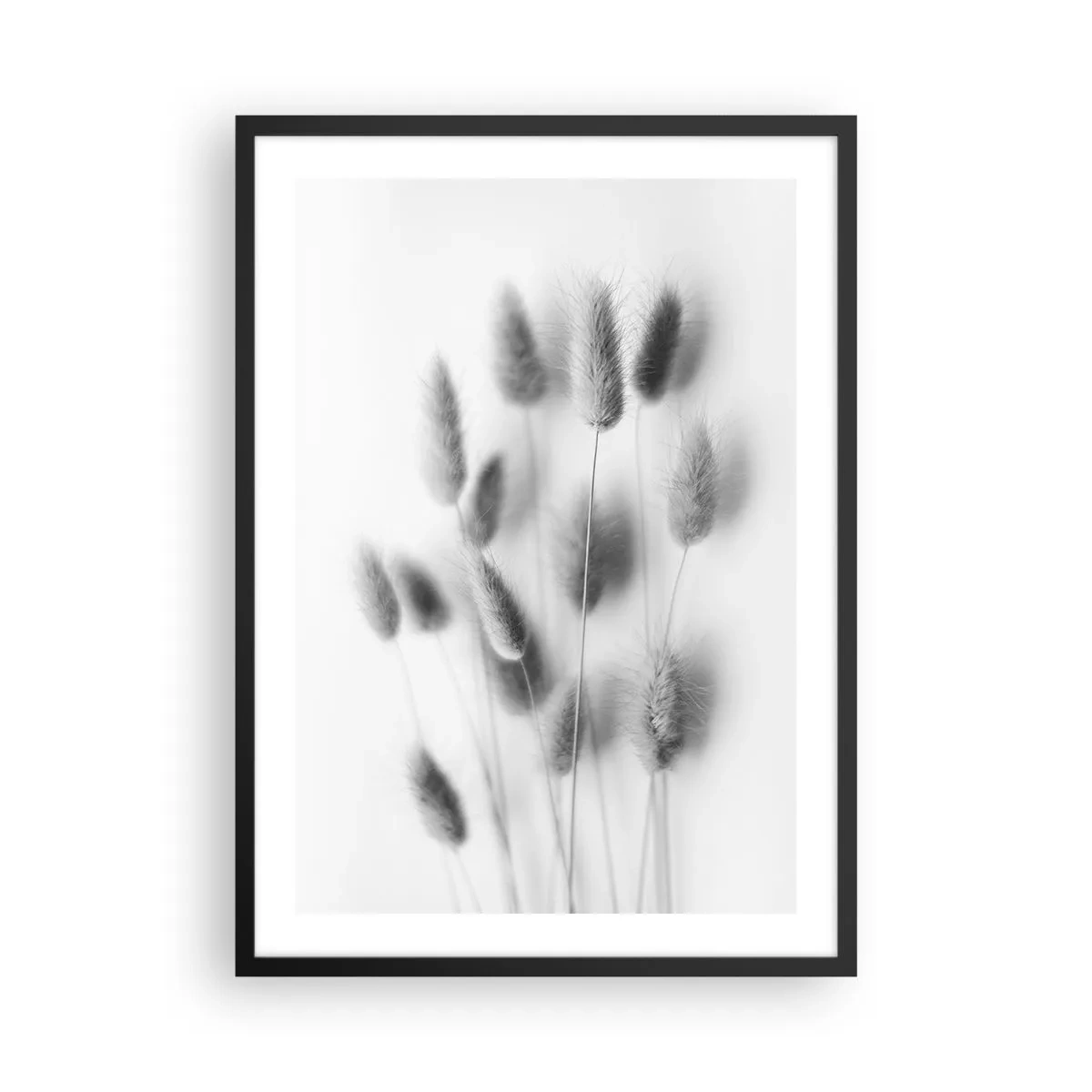 Poster în ramă neagră - Spike-uri pufoase de iarbă alb-negru - 50x70cm - Pufoșenia ierbii - Decorațiune modernă pentru perete pentru living și dormitor ARTTOR
