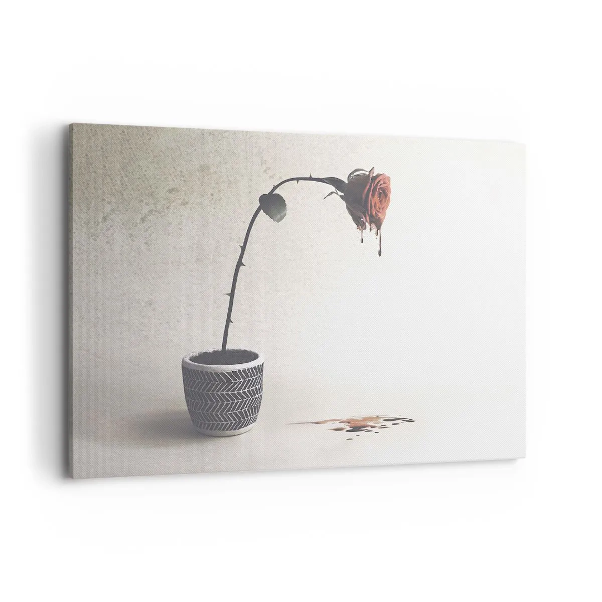 Tablou pe pânză - Rosa dolorosa - 100x70 cm
