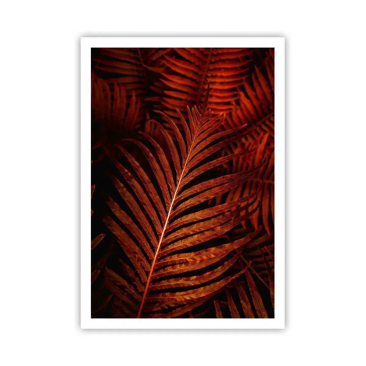 Poster - Ardoarea vieții - 70x100 cm