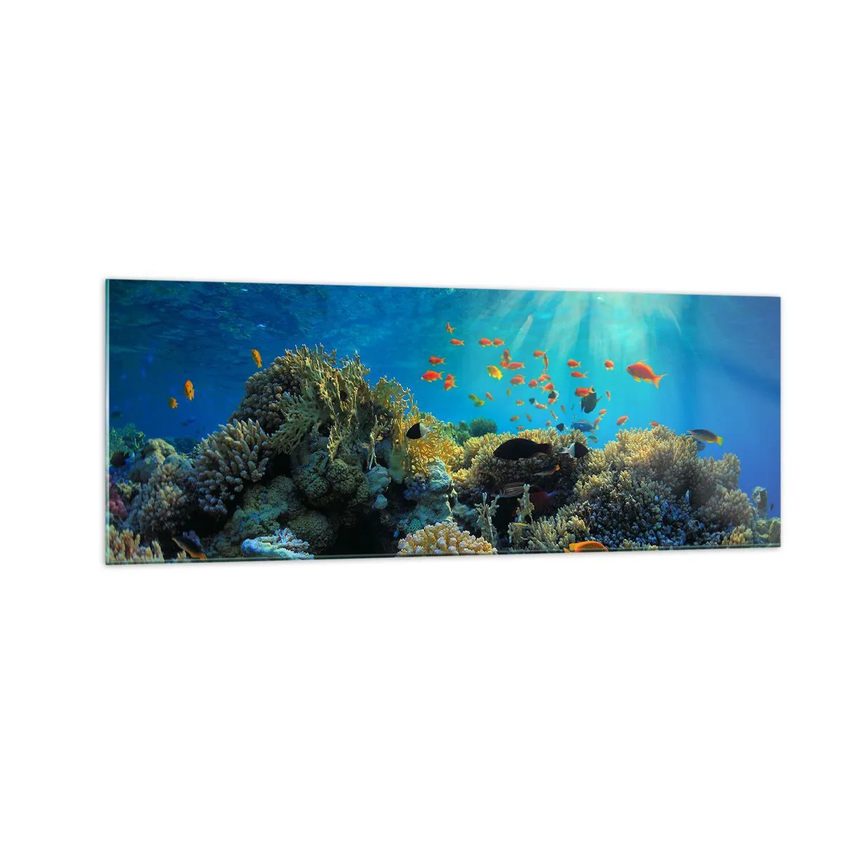 Tablou pe sticlă - Comori subacvatice - 140x50 cm