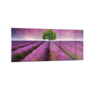 Tablou pe sticlă - În câmpurile de lavandă - 100x40 cm