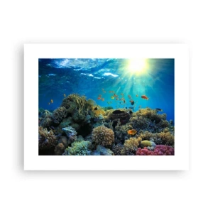 Poster - Comori subacvatice - 40x30 cm