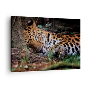 Tablou pe pânză Canvas - Un leopard întins la umbra copacilor - 70x50cm - Să ai încredere în mine - Decorațiune modernă pentru perete pentru living și dormitor ARTTOR