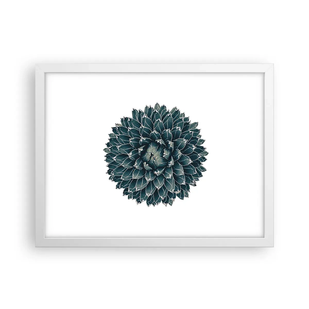 Poster în ramă albă - Steaua deșertului - 40x30 cm