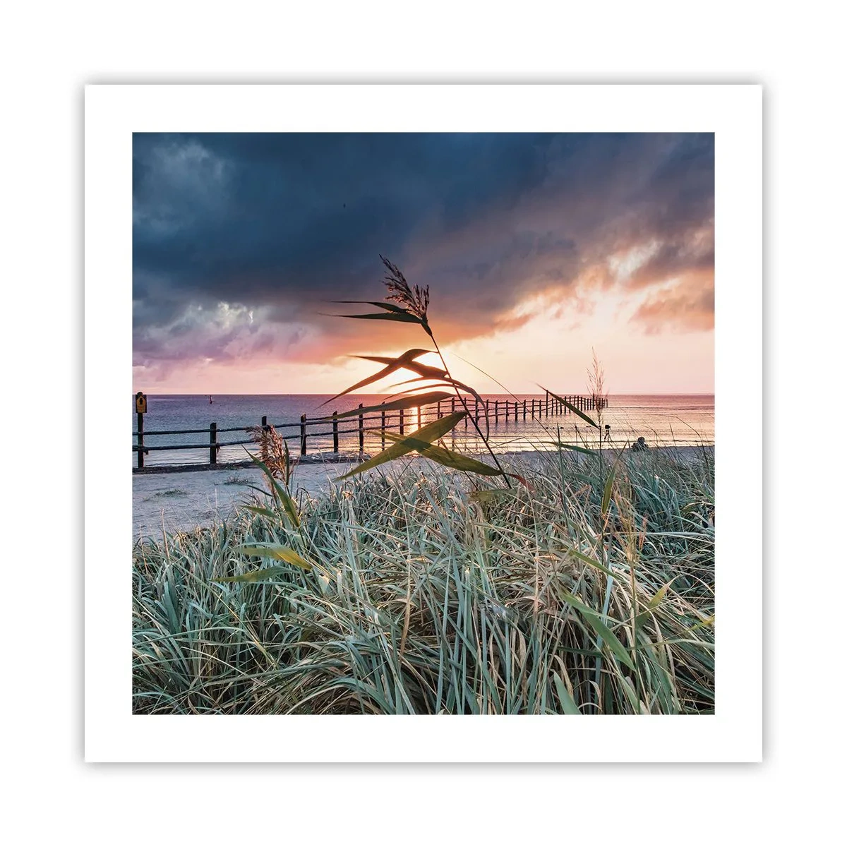 Poster - Nu trece cu vântul - 50x50 cm