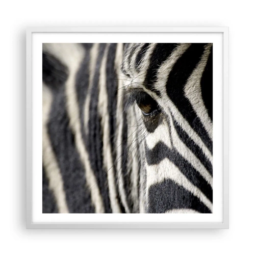 Poster în ramă albă - Portret cu dungi - 60x60 cm