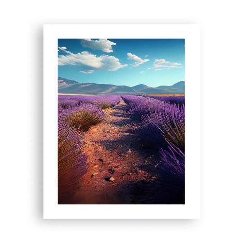 Poster - Câmpuri parfumate - 40x50 cm