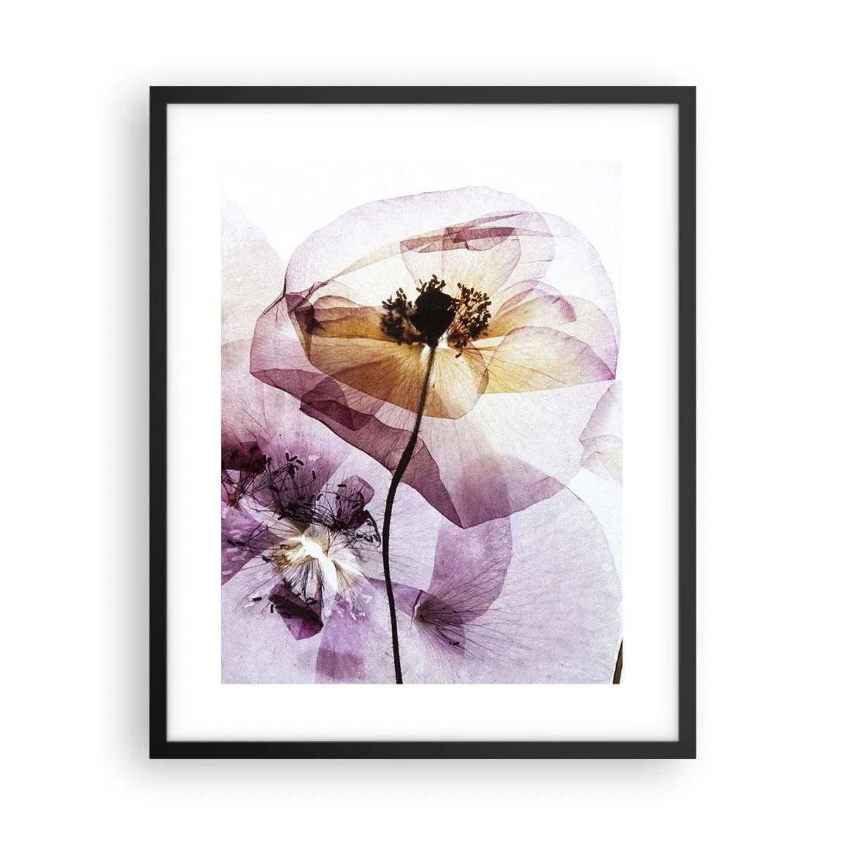 Poster în ramă neagră - Corp de flori transparente - 40x50 cm