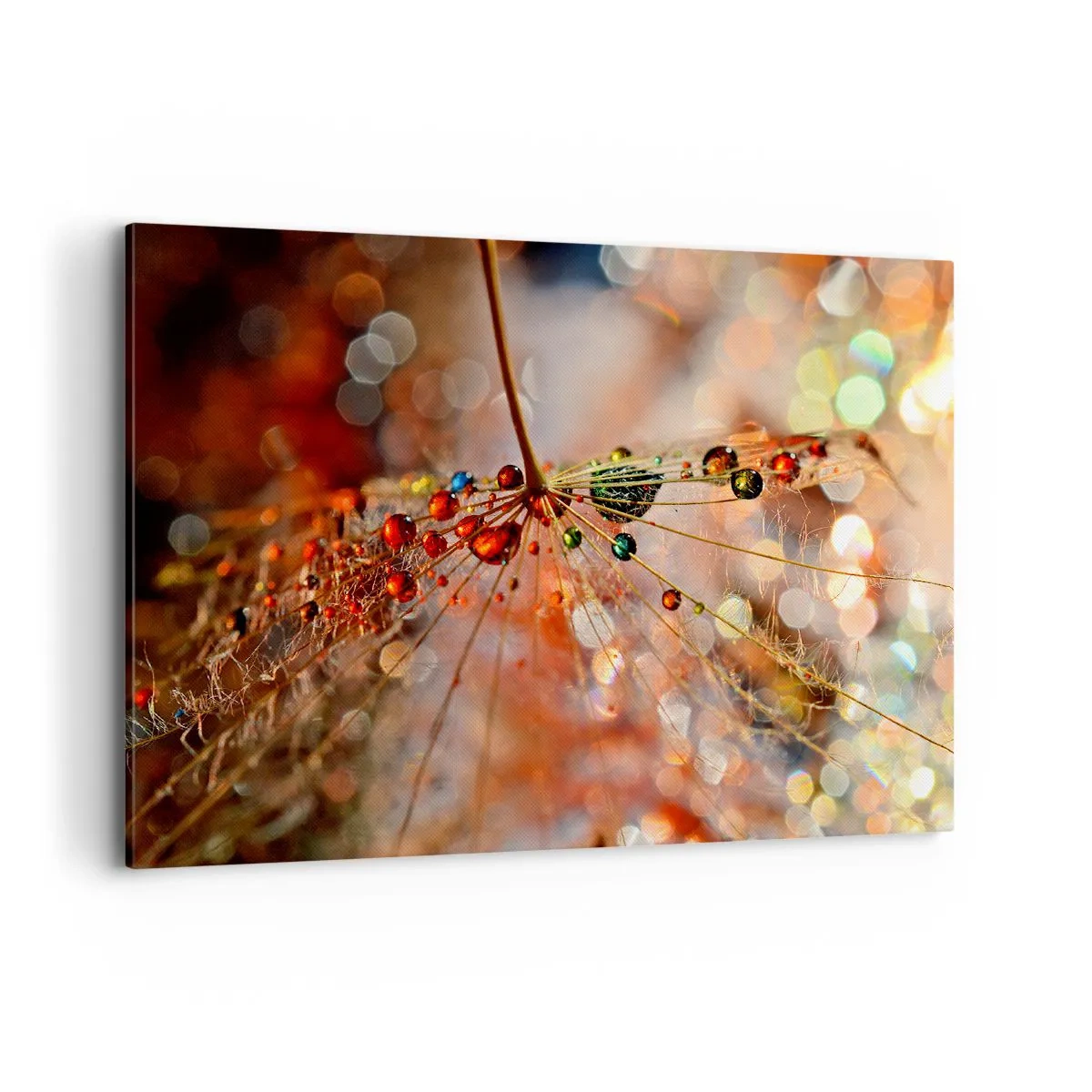 Tablou pe pânză - Înfipt pe pânza de păianjen - 100x70 cm