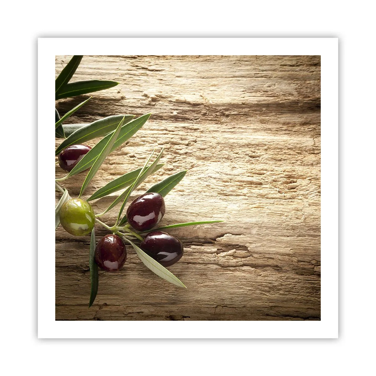 Poster - Direct din natură - 60x60 cm