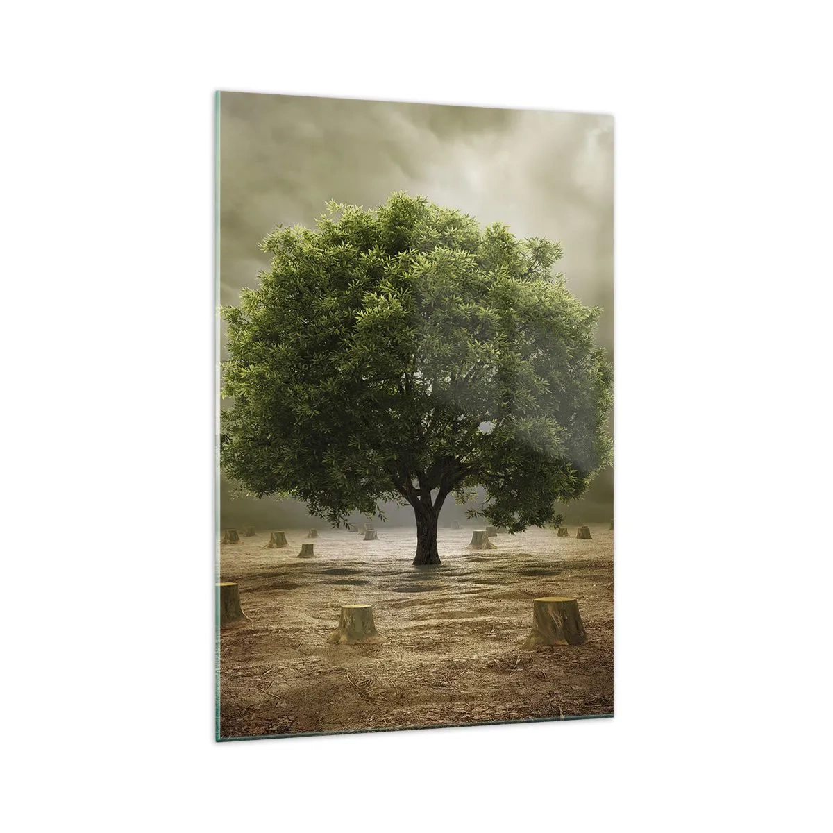Tablou pe sticlă - Toate speranțele - 70x100 cm