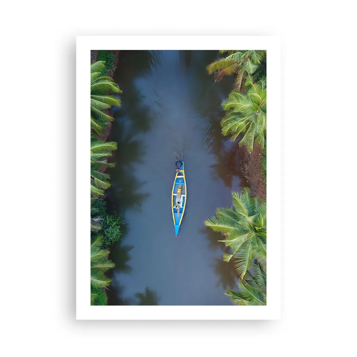 Poster - Pe traseul tropical - 50x70 cm