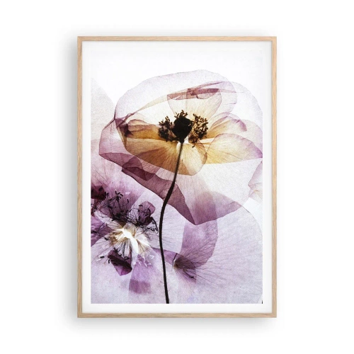 Poster în ramă de stejar deschis - Corp de flori transparente - 70x100 cm