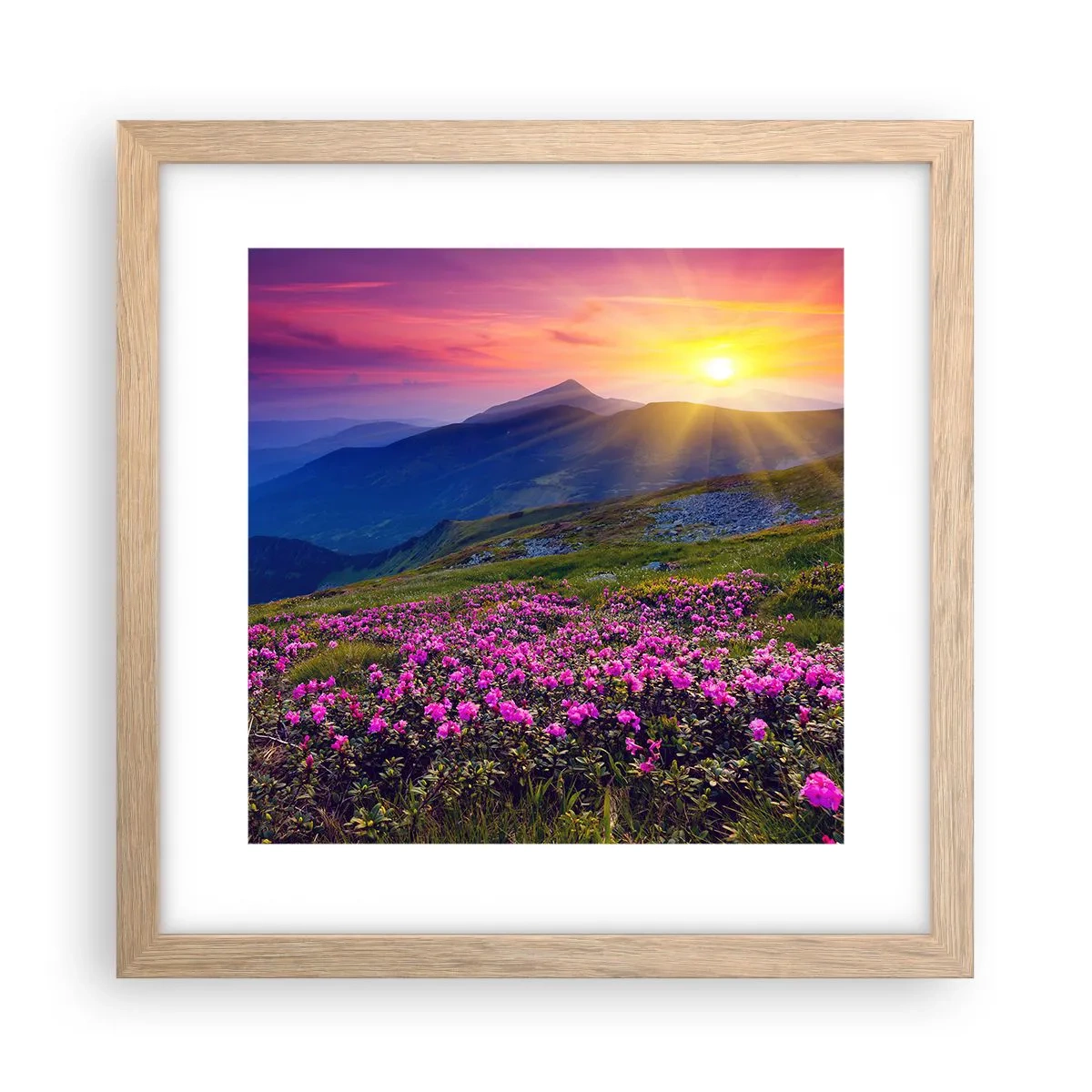 Poster în ramă de stejar deschis - ... Și peste tot în jur se simte un miros de jneapăn și parfum de ierburi... - 30x30 cm