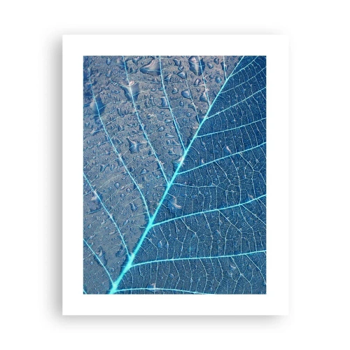 Poster - Viața în albastru - 40x50 cm