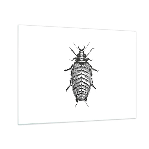 Tablou pe sticlă - Ilustrație alb-negru a unei insecte pe fundal alb - 70x50cm - Ce specimen! - Decorațiune modernă pentru perete pentru living și dormitor ARTTOR