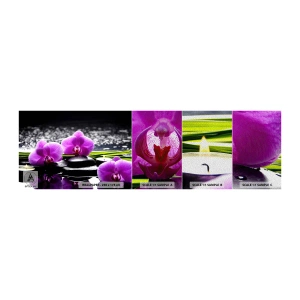 Mostră tapet Premium Sand - Să te scufunzi în pace și liniște - Flori, Orhidee, Orhidee - 100x30 cm